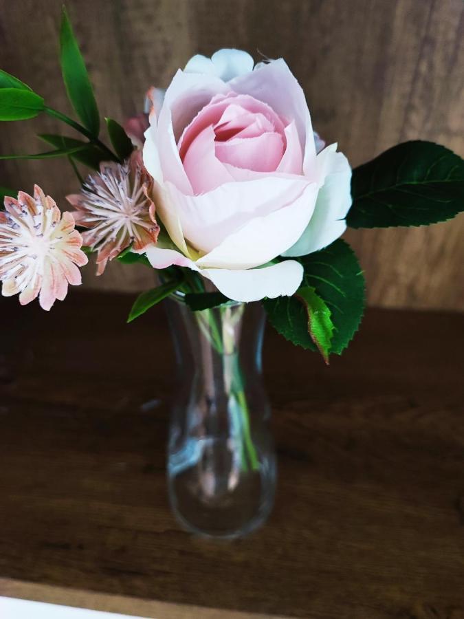 White Rose Studio Basement Apartment บูดาเปสต์ ภายนอก รูปภาพ